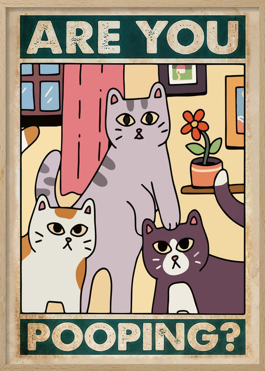 cats are you pooping