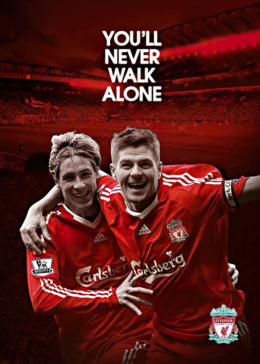 Fernando Torres x  Gerrard