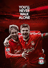 Fernando Torres x  Gerrard