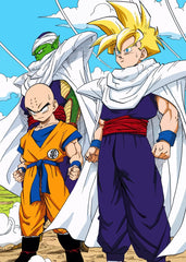 Piccolo and Krillin, Dragon ball