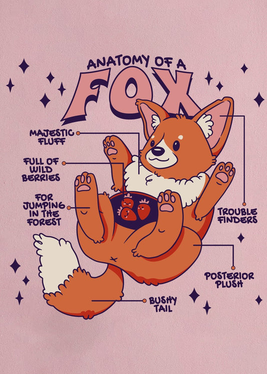Kawaii Fox Anatomy