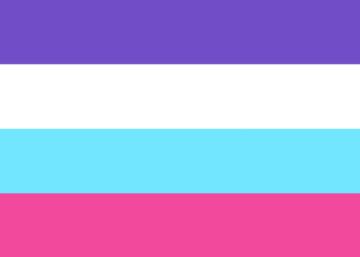 Multisexual Pride Flag