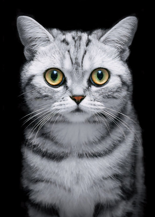 Cute