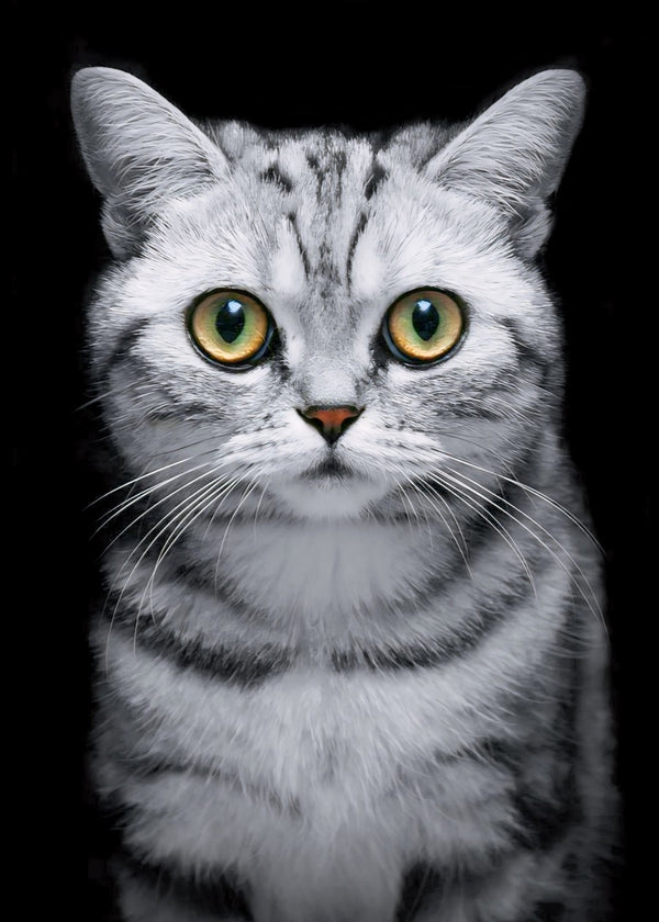 Cute