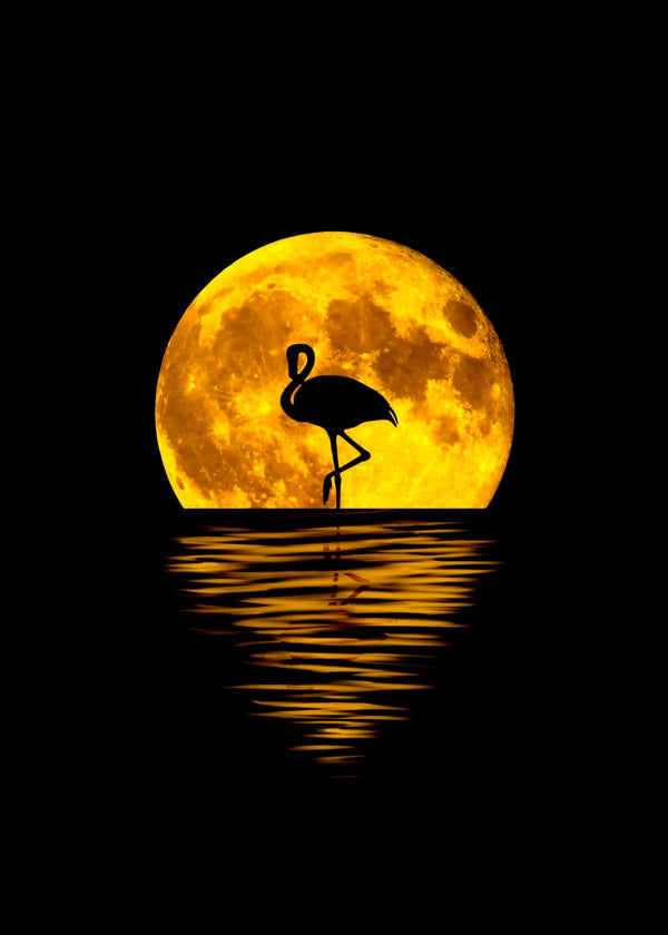 Flamingo moon silhouette
