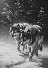 Wolf Through the White Silence