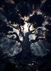 Tree of Luminescence
