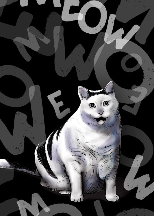 Chonky Meow Cat