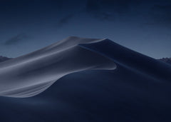 Mojave Starry Night's Embrace 