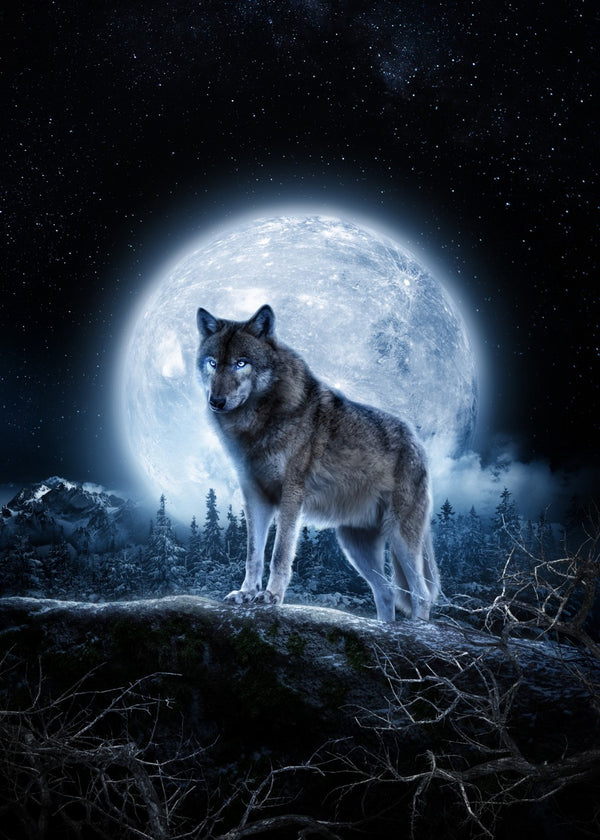 Lone wolf, Endless Night