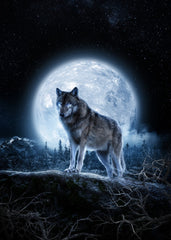 Lone wolf, Endless Night 