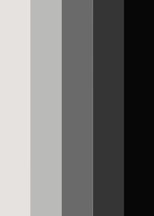 Hetero Color Palette