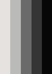 Hetero Color Palette