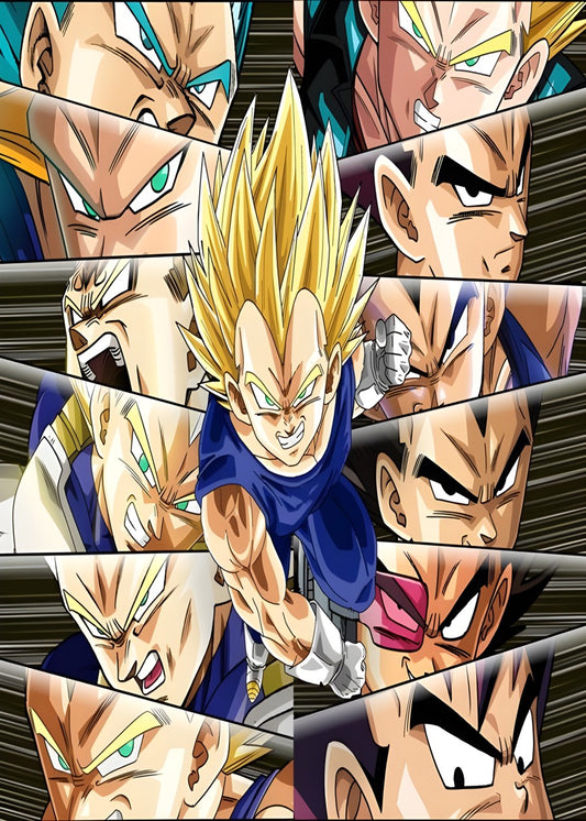 The Vegeta of All Saiyans, Dragon ball