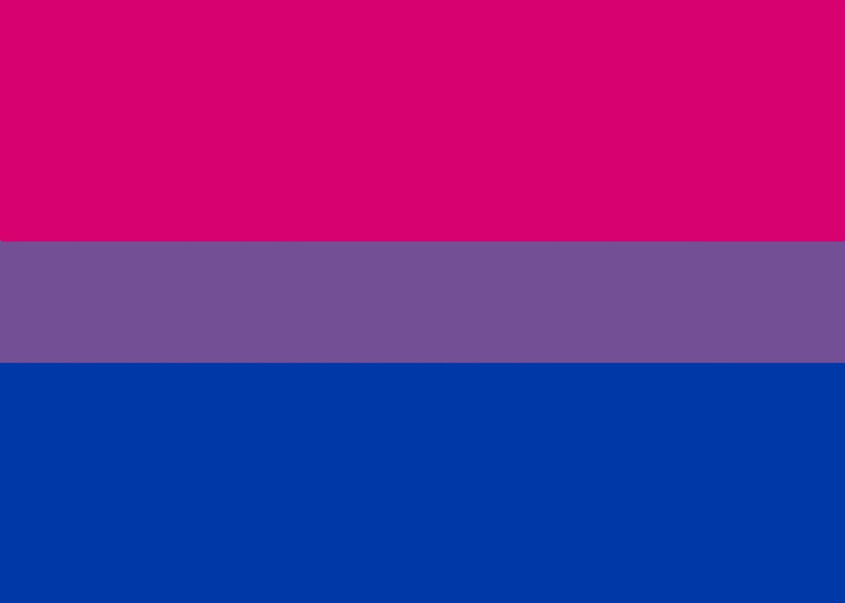 Bisexual Pride Flag
