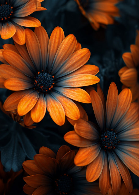 Yellow Petals flowers