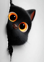 Peeka-Boo! Tuna