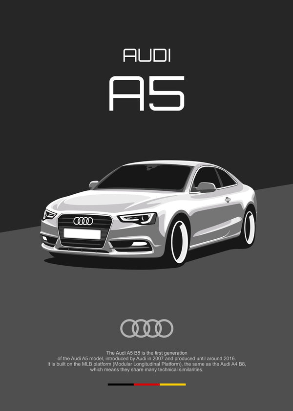 Audi A5 B8