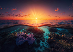The sun rises over the ocean