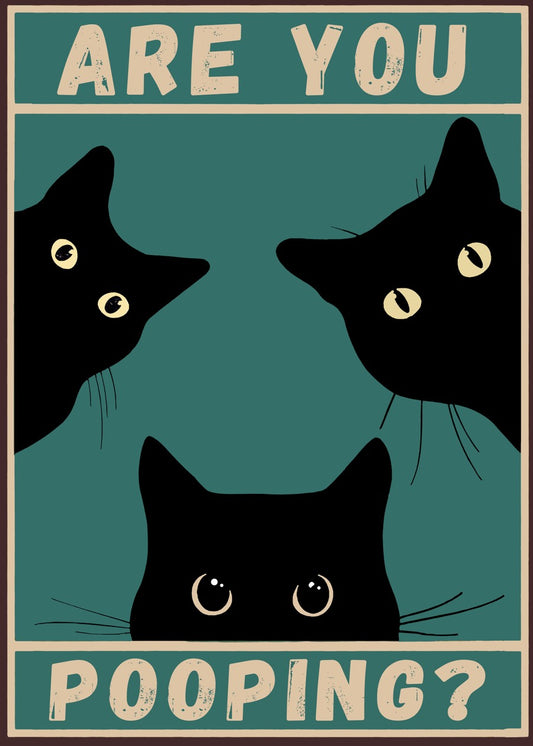 Fat Black Cat Are You Pooping