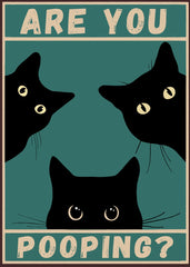 Fat Black Cat Are You Pooping