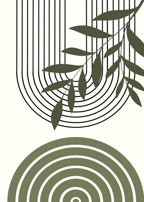 Curved Harmony