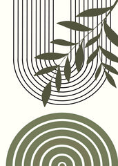 Curved Harmony