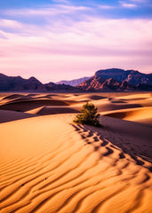Ripples in the Quiet Dunes