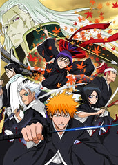 Bleach Soul Reaper Saga