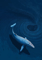 Humpback Whale Swirl