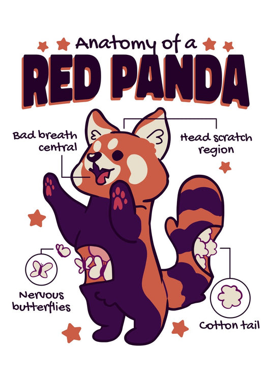 Cute Red Panda Anatomy