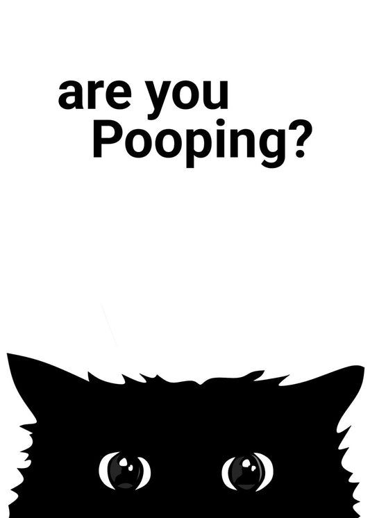 cat funny