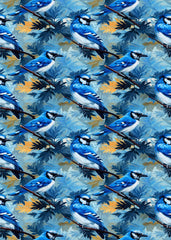 Vibrant Blue Jay Birds