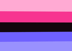 Omnisexual Pride Flag