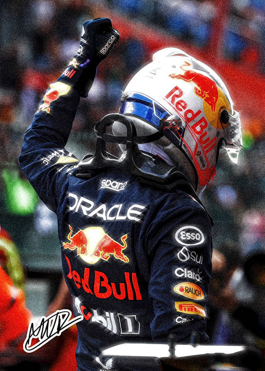 Max Verstappen Winning Pose