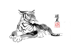 Quiet tiger