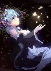 re zero