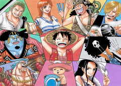 One piece 