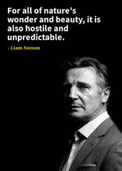 Liam Neeson 