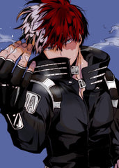 Shoto Todoroki, My Hero Academia