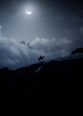 Red Dead Outlaws & Honor