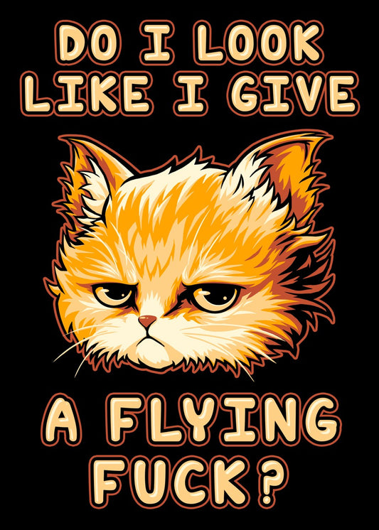Do I Look Like I Give A Flying