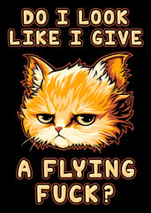 Do I Look Like I Give A Flying