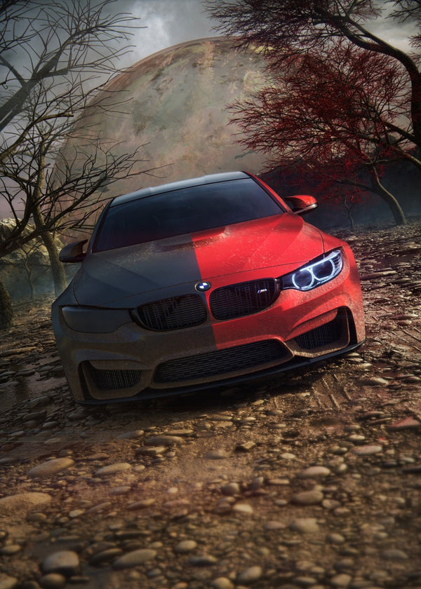BMW M4 Duality