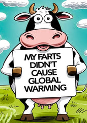 My Farts