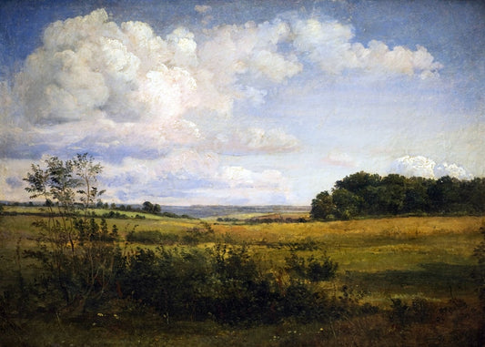 Sunlit Clouds 
