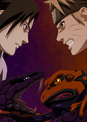 Naruto Shippuden
