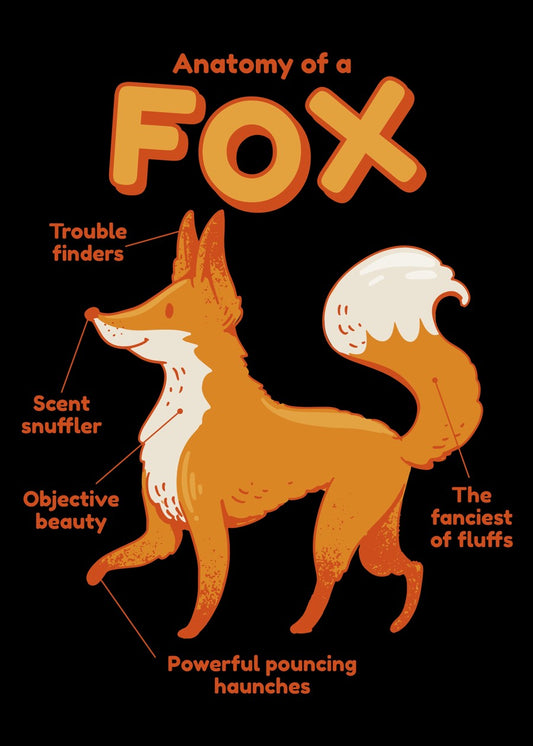 Sly Fox Anatomy
