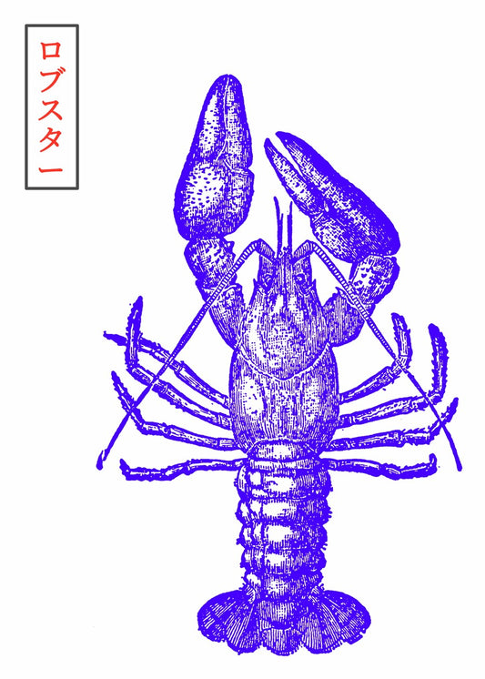 lobster illustration, japanese style