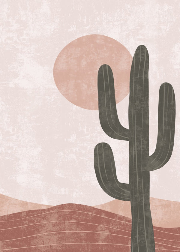 Desert Pink Sun Cactus
